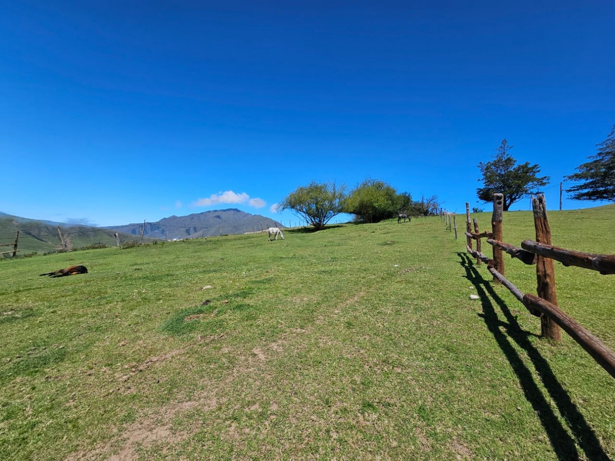 TERRENO EN VENTA 1.073 M2 TAFI DEL VALLE, LAS CARRERAS