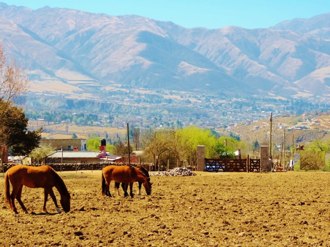 Lote En Venta De 1.040 m2 Ubicado En Tafi Del Valle