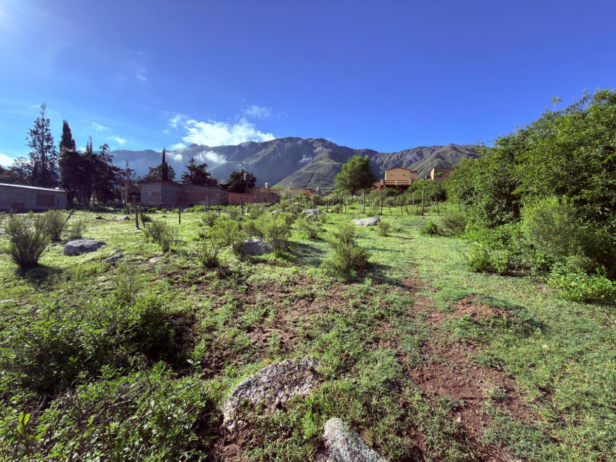 VENTA TERRENO 500 M2 EL MOLLAR, BARRIO PORVENIR 