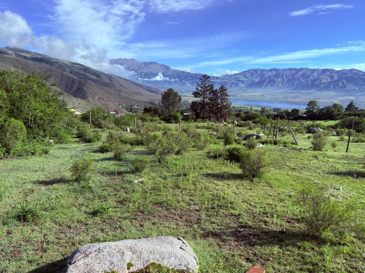 VENTA TERRENO 500 M2 EL MOLLAR, BARRIO PORVENIR 