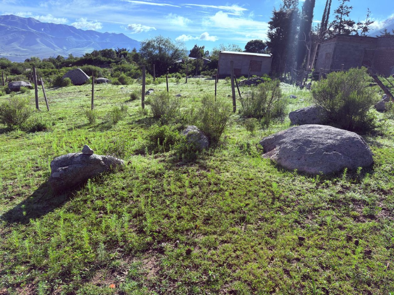 VENTA TERRENO 500 M2 EL MOLLAR, BARRIO PORVENIR 