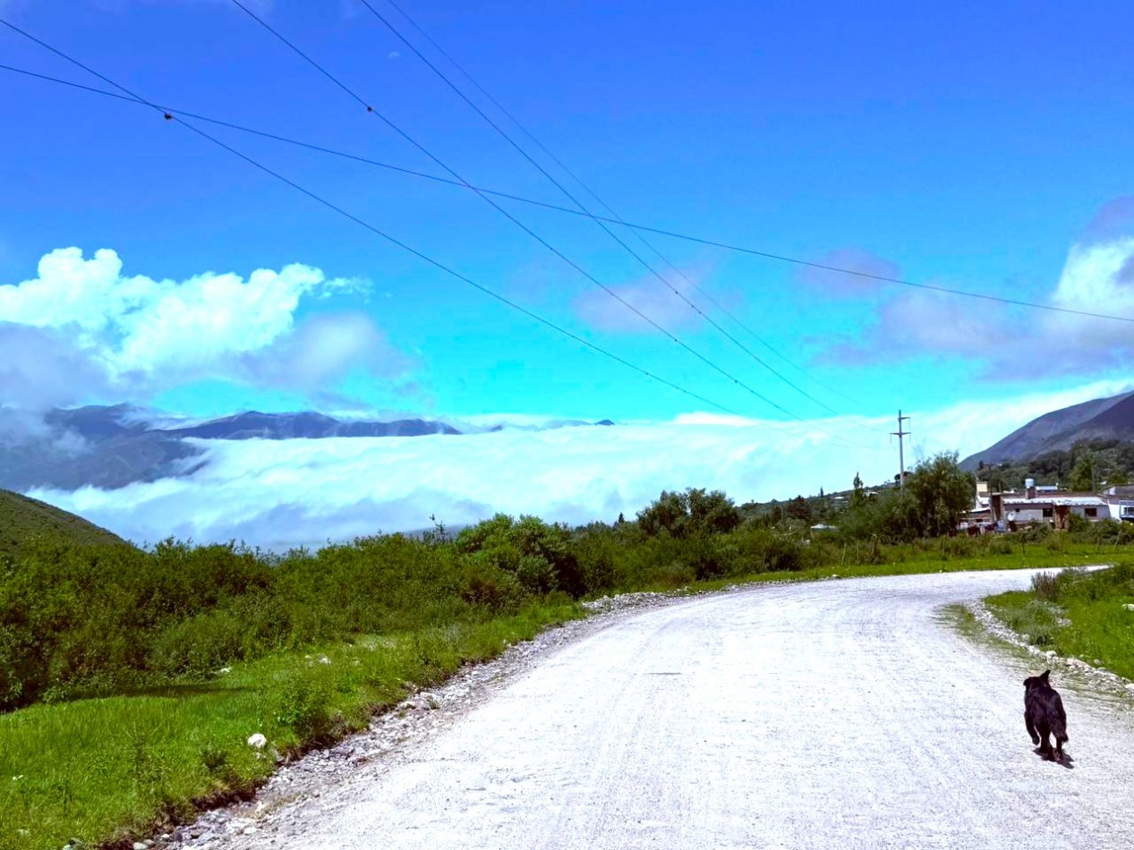 VENTA TERRENO POTRERILLOS 300 M2, EL MOLLAR, TAFI DEL VALLE 