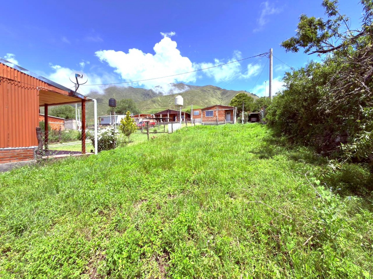 VENTA TERRENO POTRERILLOS 300 M2, EL MOLLAR, TAFI DEL VALLE 