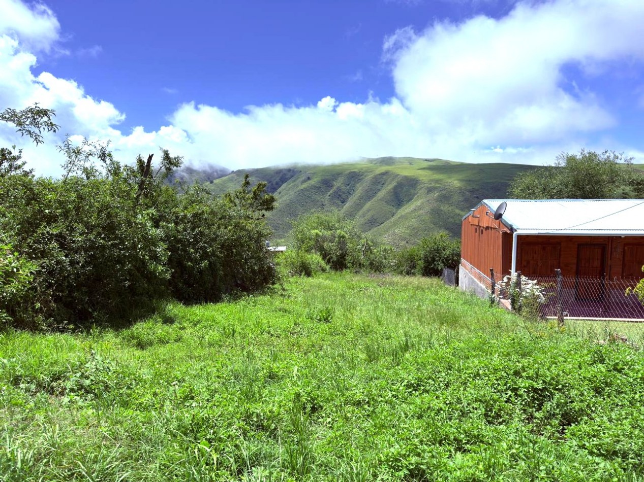 VENTA TERRENO POTRERILLOS 300 M2, EL MOLLAR, TAFI DEL VALLE 