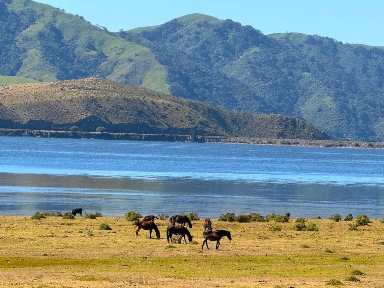Las Tolas Eco Village - Tu refugio entre los cerros, donde la naturaleza es la protagonista