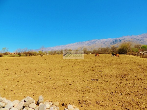 Lote En Venta De 1200M2 Ubicado En Tafi Del Valle